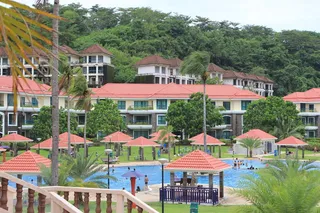 度假，地方，度假，游泳池，水，海滩，人，树