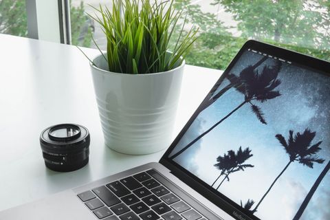 swift, 植物, 编码, 电脑, 最小, macbook, pro swift, 植物, 编码, 电脑, 最小, macbook, pro