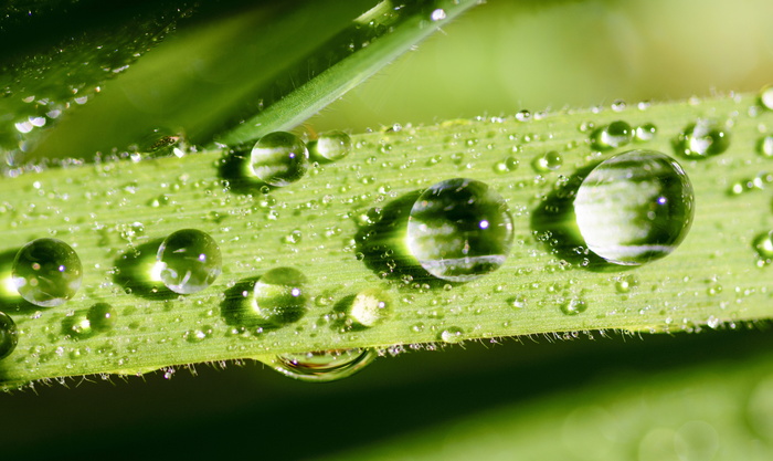 水珠
