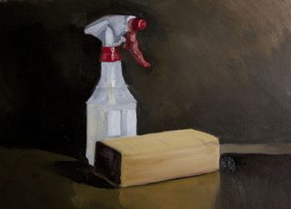 喷雾瓶，塑料瓶，盒子，容器，写实，消毒，表现，宗教