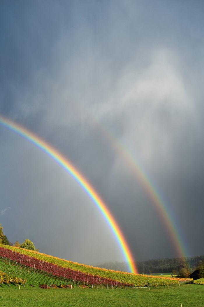 彩虹，雨，风景，自然，心情，天空，彩虹颜色，自然现象