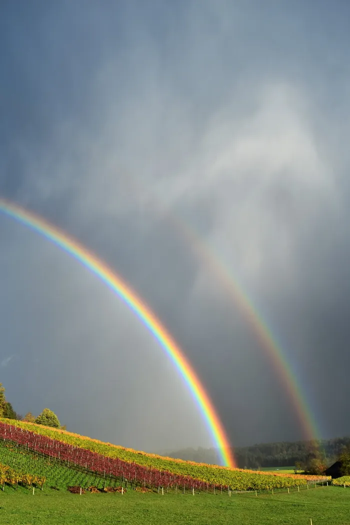 彩虹，雨，风景，自然，心情，天空，彩虹颜色，自然现象
