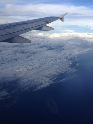 机翼，飞机，飞机，飞机，飞行，喷气机，客机，天空