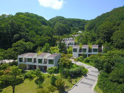 线条如何，在森林、天空、树木、植物、建筑、建筑外部、建筑结构中