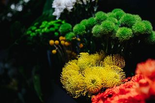 五颜六色的花束收藏