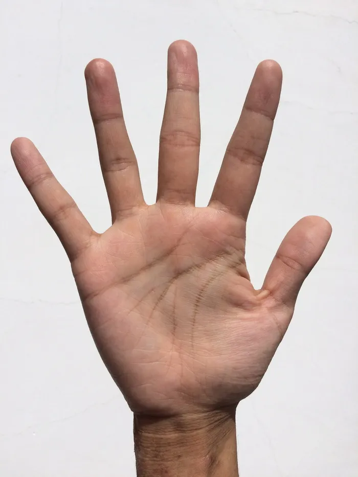 右手手掌，手掌，手，手指，漂白，看手掌，年轻，日语