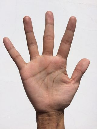 右手手掌，手掌，手，手指，漂白，看手掌，年轻，日语