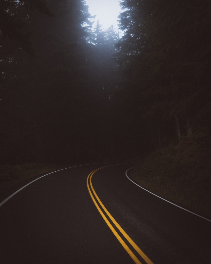 黑暗，道路，旅行，树木，植物，自然，交通，前进的道路