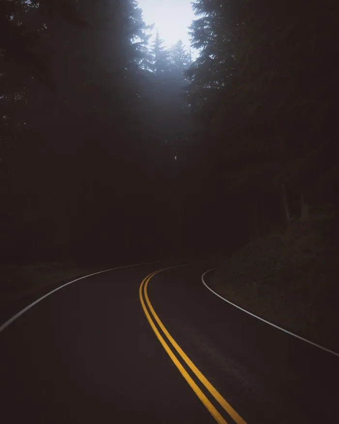 黑暗，道路，旅行，树木，植物，自然，交通，前进的道路