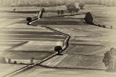 运动,古老,线条,天,真实的人,一个人,生活方式,高角度视图 运动,古老,线条,天,真实的人,一个人,生活方式,高角度视图