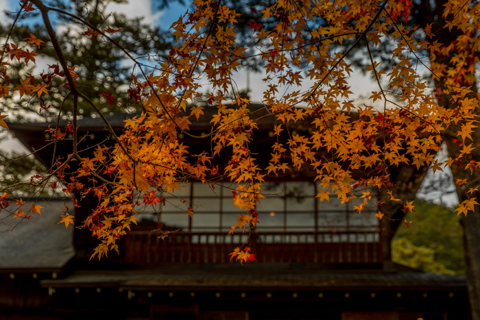 日本，nikko，nikko tamozawa imperial villa纪念公园，四季，帝王，别墅，天空，壁纸