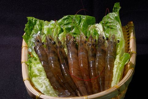 优质虾，特级，白虾，蔬菜，虾，食品和饮料，食品，健康饮食