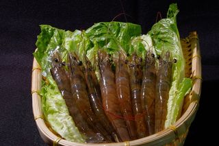 优质虾，特级，白虾，蔬菜，虾，食品和饮料，食品，健康饮食