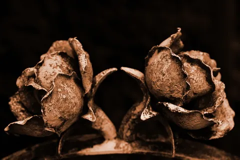 金属，艺术，玫瑰，金属玫瑰，哀悼，旧，风化，暂时