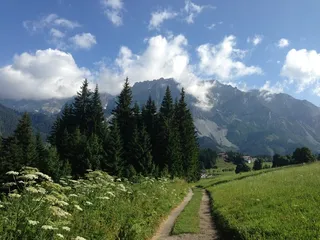 拉姆索，达克斯坦，小径，春天，草地，树木，山脉，自然之美