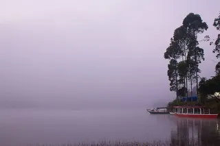 照片，红色，船，树，自然，风景，水，河流