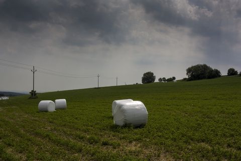 捷克，most，树木，玉米，田地，风暴，收获，电力