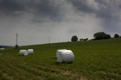 捷克，most，树木，玉米，田地，风暴，收获，电力