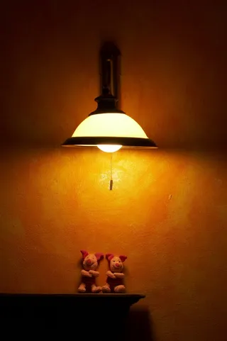 设计，室内，艺术，家居，玩具，装饰，有趣，有趣