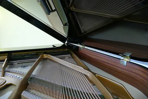 wing，piano，bechstein，grand piano，室内，建筑，低角度视图，无人