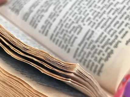 书籍，艺术家，阅读，创意，色彩，艺术，教育