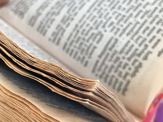 书籍，艺术家，阅读，创意，色彩，艺术，教育