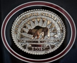 奖杯、奖项、四轮直升机、图标、奖项、成功、动物、动物主题