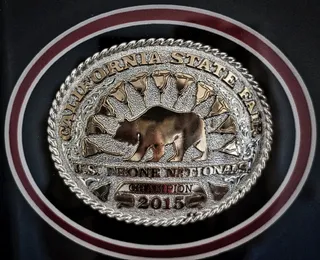 奖杯、奖项、四轮直升机、图标、奖项、成功、动物、动物主题