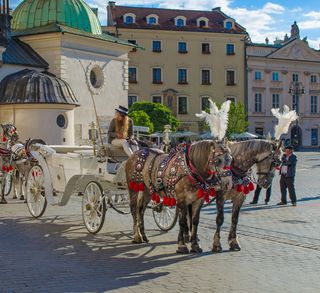 克拉科夫，波尔加，欧洲，马车，出租车，马，区域，中心