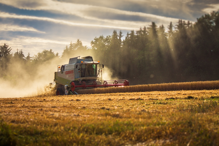 灰色、红色、联合收割机、harverster、麦田、claas、lexion、联合收割机