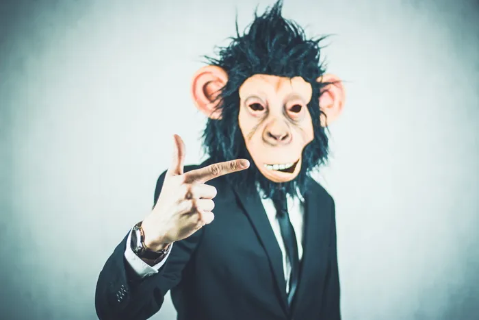monkey，应用程序，培训，业务，肖像，启动，启动，演示