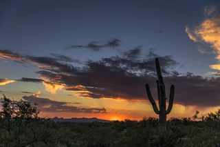 日出，有线电视，亚利桑那州，天空，日落，植物，仙人掌，云天