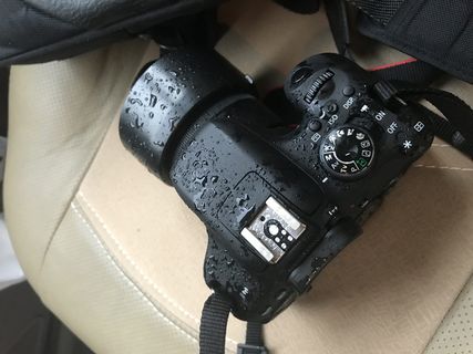 伊朗, 德黑兰, sharak-e-sadaf, 雨, 漫步, 相机, 滴, 技术