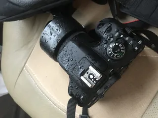 伊朗, 德黑兰, sharak-e-sadaf, 雨, 漫步, 相机, 滴, 技术