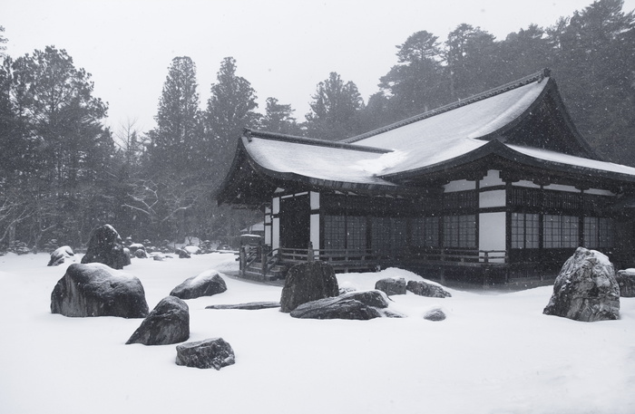 白雪覆盖的棕色房子