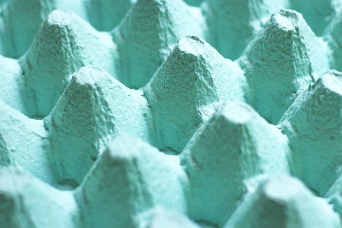 盒子、鸡蛋、绿色、背景、特写、全画幅、绿色、选择性聚焦