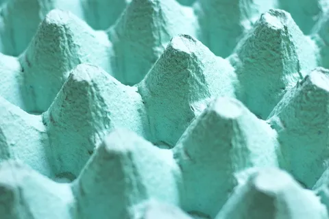 盒子、鸡蛋、绿色、背景、特写、全画幅、绿色、选择性聚焦