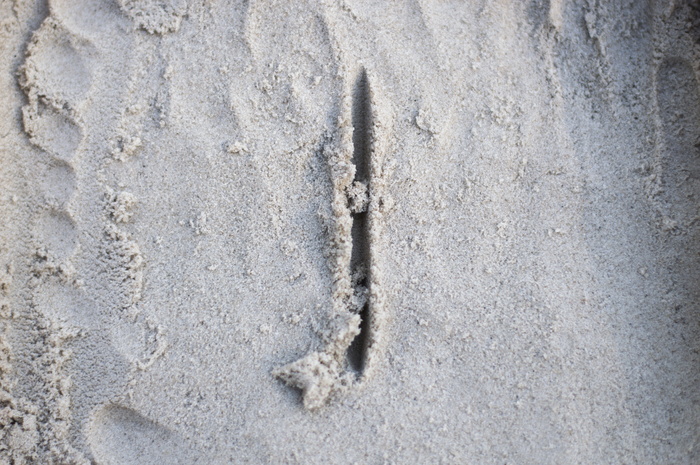 美国，埃利斯维尔，埃利斯维尔基督教堂，背景，纹理，全框架，无人，沙子