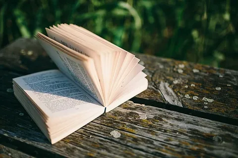 在湖边读书 在湖边读书