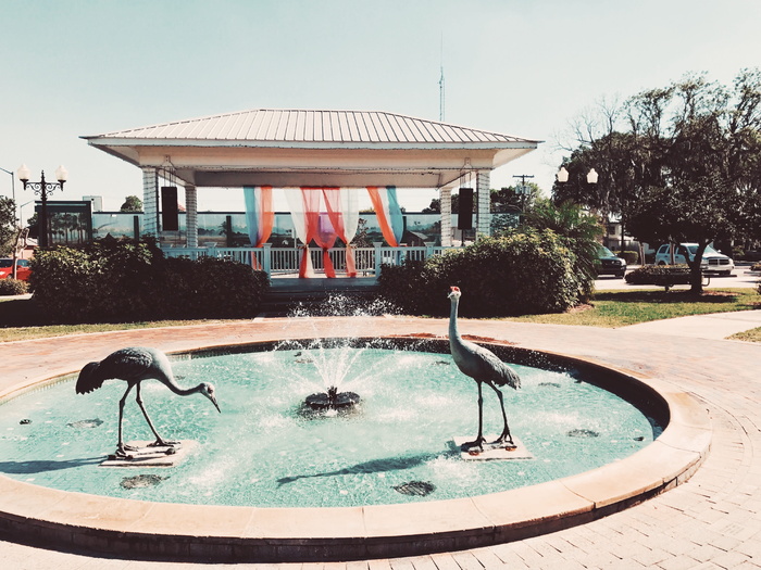 水、动物、鸟类、户外、main street heritage park、wauchula、美国、汽车