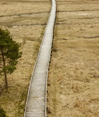 木制人行桥、沼泽、草地、道路、铁路轨道、运输、工厂、前进之路