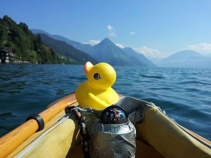 巴斯，橡皮鸭，鸭子，巴斯鸭，吱吱鸭，quietschentchen，靴子，折叠皮划艇