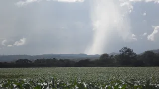 星期日, 下午, 平静, 景观, 土地, 田野, 天空, 农业