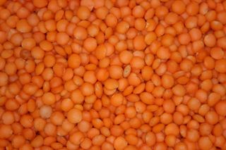 玉米粒，红扁豆，食品，豆类，食用，食用，背景，食品和饮料