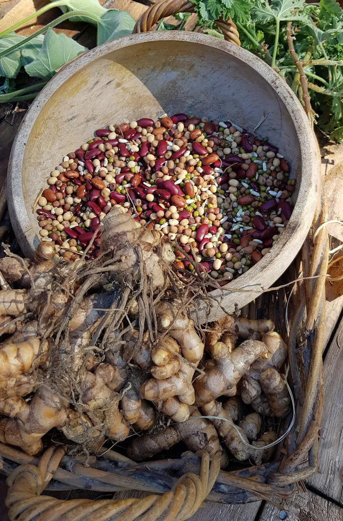 食品，木材，木材，蔬菜，健康，桌面，特写，姜