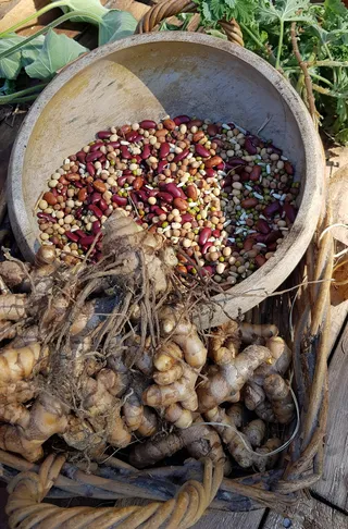 食品，木材，木材，蔬菜，健康，桌面，特写，姜