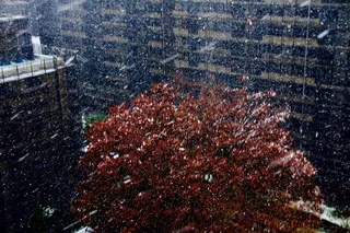 日本，佐木原慎太郎，秋天，雪，冬天，秋天，十一月