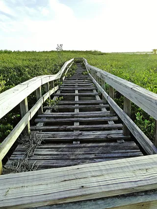 木板路、破损、废弃、破旧、木质、木质、陈旧、荒凉