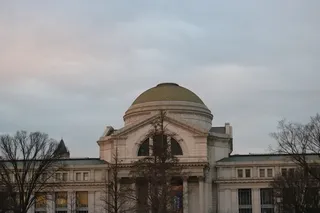 美国，华盛顿，史密森国家自然历史博物馆，地区，博物馆，穹顶，建筑，建筑师