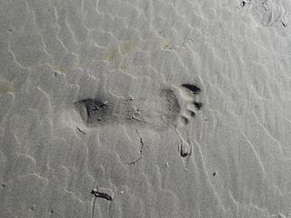 足迹、沙子、海滩、印记、脚印、脚印、陆地、高角度视图